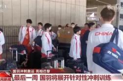 国家队齐心合力备战，追求胜利的简单介绍